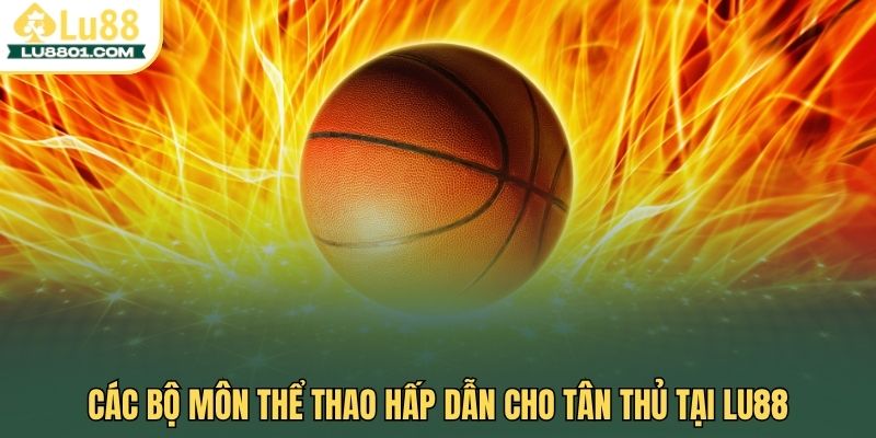 Các bộ môn thể thao hấp dẫn cho tân thủ tại thể thao LU88