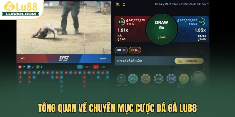 Tổng quan về chuyên mục cược đá gà LU88