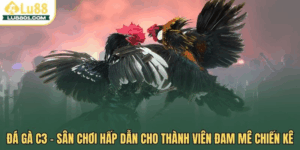 Đá gà C3 LU88 – Sân chơi hấp dẫn cho dành cho sư kê