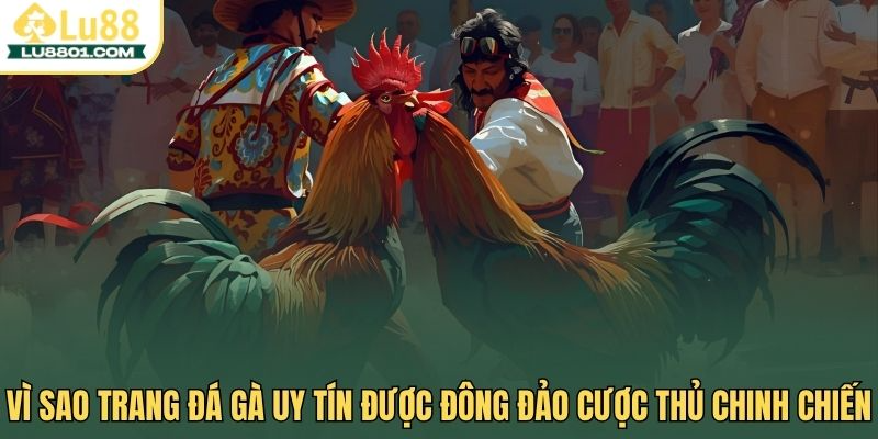 Vì sao trang đá gà uy tín được đông đảo cược thủ chinh chiến