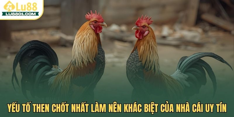 Yếu tố then chốt nhất làm nên khác biệt của nhà cái uy tín