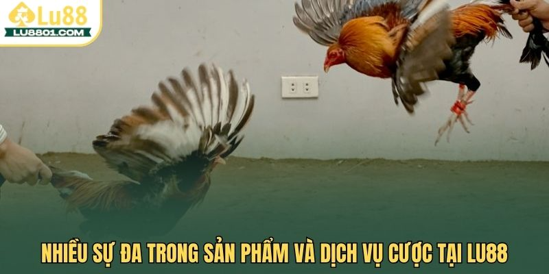 Nhiều sự đa trong sản phẩm và dịch vụ cược tại LU88