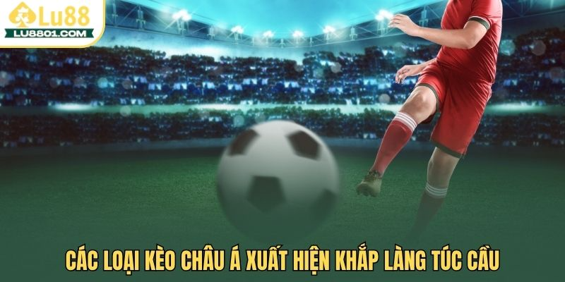Kèo Châu Á LU88 - Hướng dẫn chi tiết và mẹo tăng tỷ lệ thắng 2 Các loại kèo Châu Á xuất hiện khắp làng túc cầu