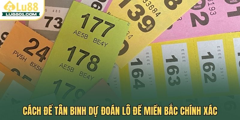 Cách để tân binh dự đoán lô đề miền Bắc chính xác