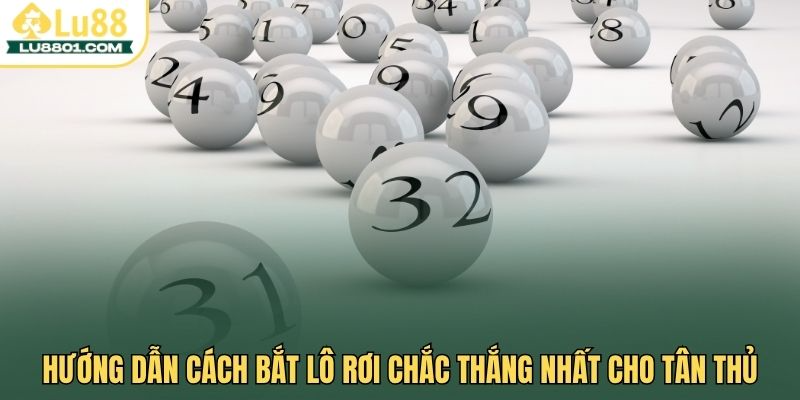 Lô rơi LU88 - Hướng dẫn cách bắt lô chắc thắng cho tân thủ